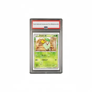 Pokemon Graded Cards