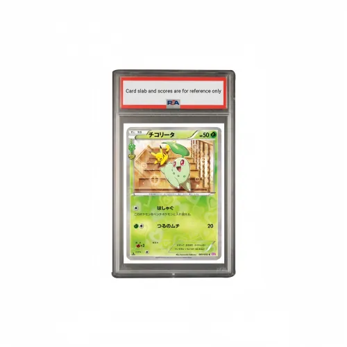 Pokemon Graded Cards