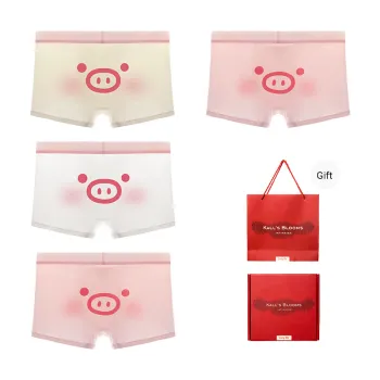 Maiden House Underwear Gift Box Men's 4 Pack