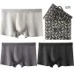 3 Pack Box Included (Night Black+Carbon Gray+Light Gray) High-Rebound Long Staple Cotton/3A Antibacterial/Stretch Belt