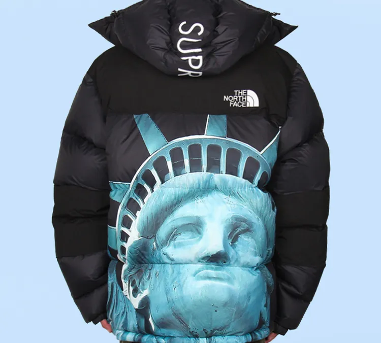 Supreme The North Face Statue Of Liberty Baltoro Jacket