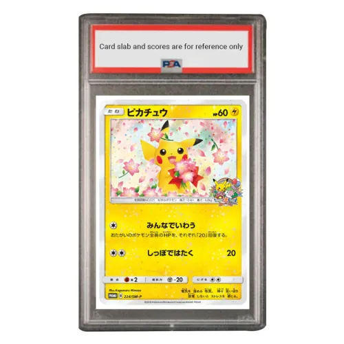 POKEMON SM PROMO Special Gift Card, Pikachu SM P 224 PSA Japan Version Graded Cards 1 Pc