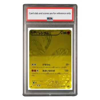 Pokemon Graded Cards