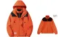 Orange (with Liner 3-in-1)