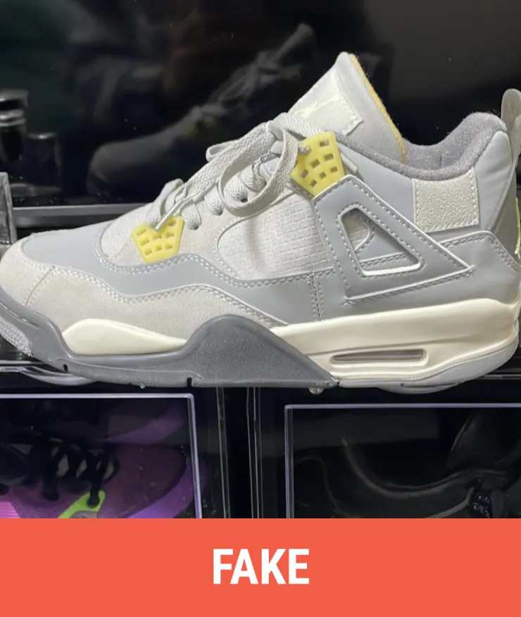 Air LOVE Jordan Trunner 3